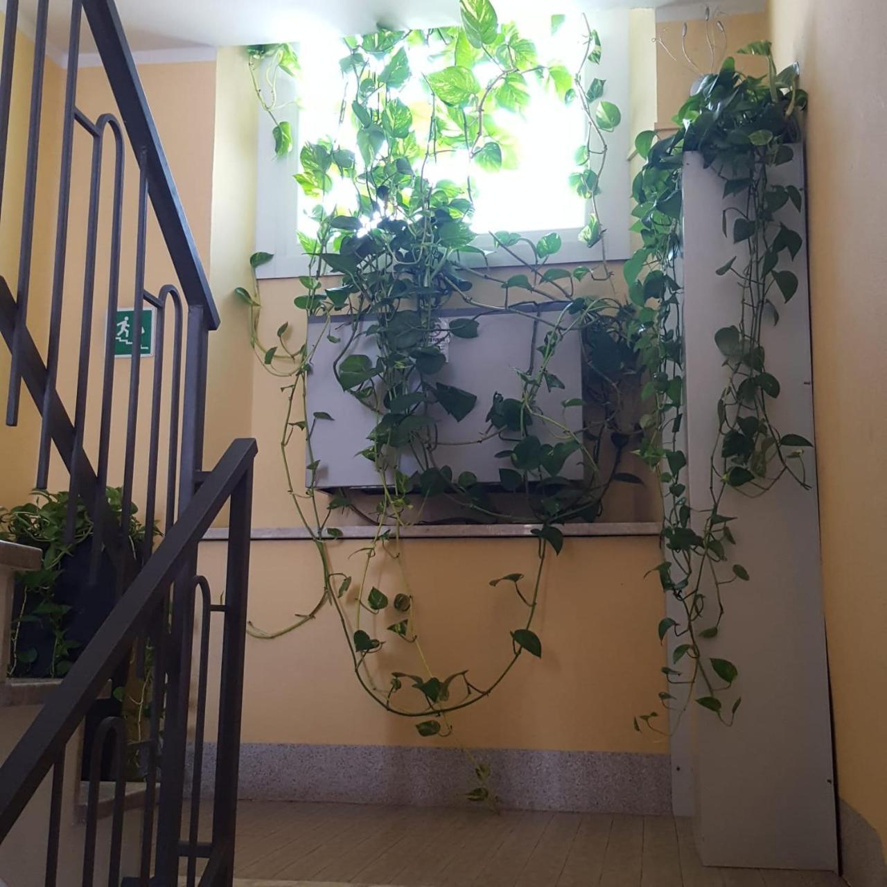 Hotel Calaluna Biella Bagian luar foto